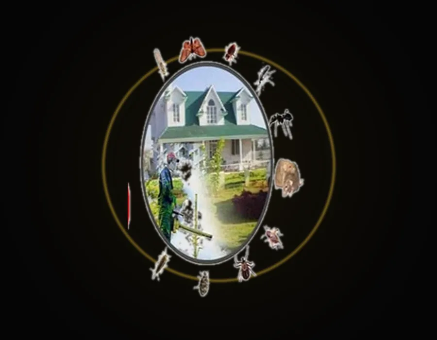 مكافحة حشرات والنمل الأبيض والوزغ